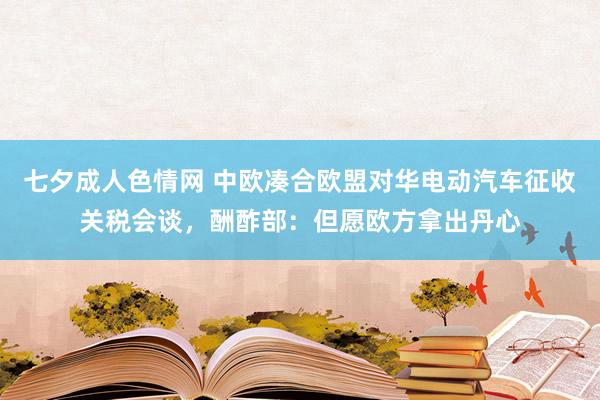 七夕成人色情网 中欧凑合欧盟对华电动汽车征收关税会谈，酬酢部：但愿欧方拿出丹心