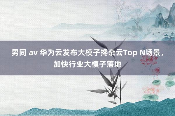 男同 av 华为云发布大模子搀杂云Top N场景，加快行业大模子落地