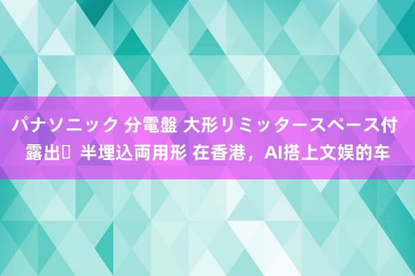 パナソニック 分電盤 大形リミッタースペース付 露出・半埋込両用形 在香港，AI搭上文娱的车