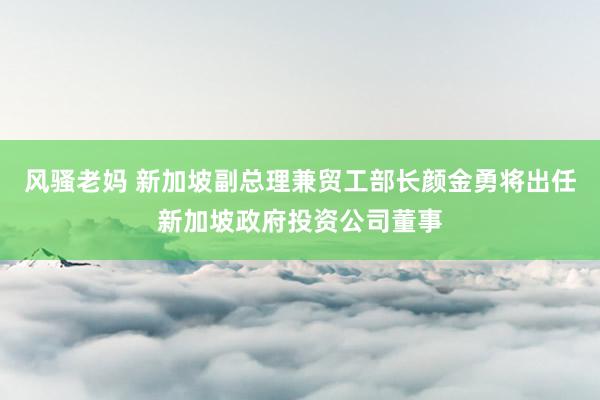 风骚老妈 新加坡副总理兼贸工部长颜金勇将出任新加坡政府投资公司董事