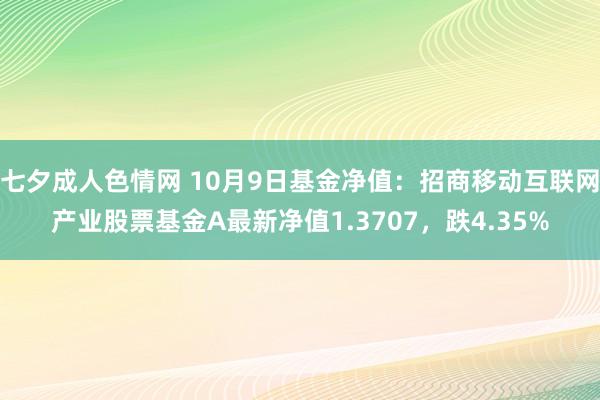 七夕成人色情网 10月9日基金净值：招商移动互联网产业股票基金A最新净值1.3707，跌4.35%