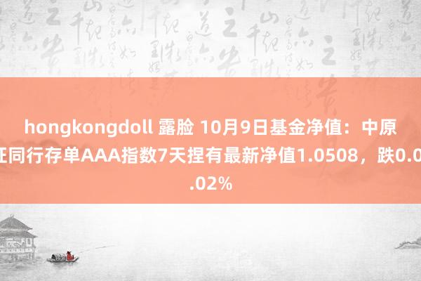 hongkongdoll 露脸 10月9日基金净值：中原中证同行存单AAA指数7天捏有最新净值1.0508，跌0.02%