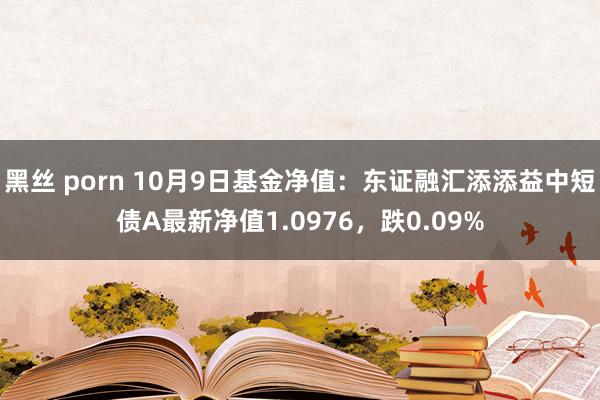 黑丝 porn 10月9日基金净值：东证融汇添添益中短债A最新净值1.0976，跌0.09%