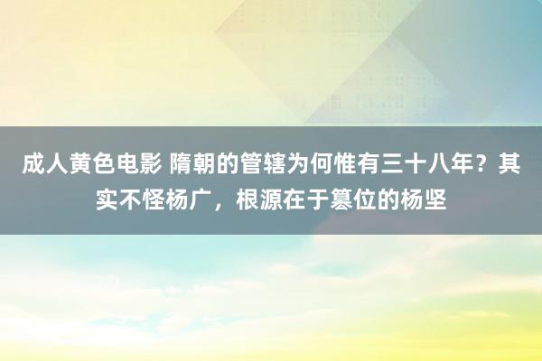 成人黄色电影 隋朝的管辖为何惟有三十八年？其实不怪杨广，根源在于篡位的杨坚