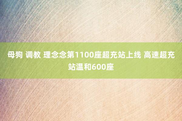 母狗 调教 理念念第1100座超充站上线 高速超充站温和600座