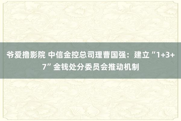 爷爱撸影院 中信金控总司理曹国强：建立“1+3+7”金钱处分委员会推动机制