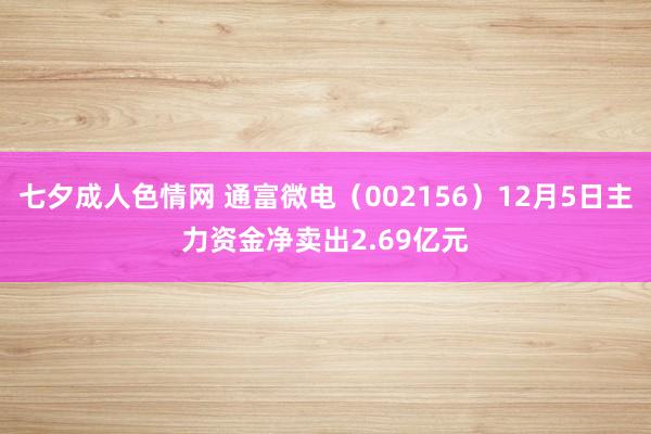 七夕成人色情网 通富微电（002156）12月5日主力资金净卖出2.69亿元