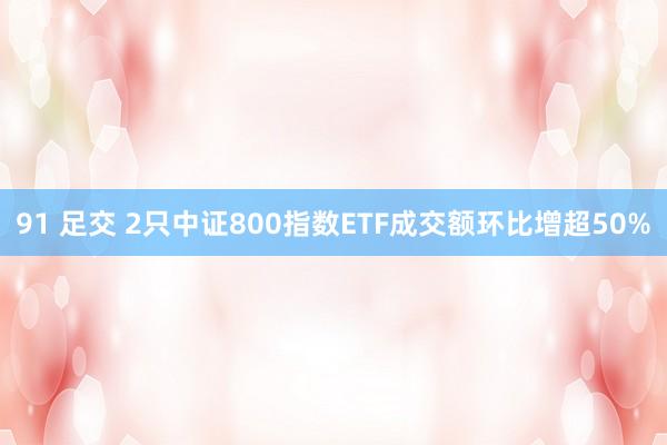 91 足交 2只中证800指数ETF成交额环比增超50%