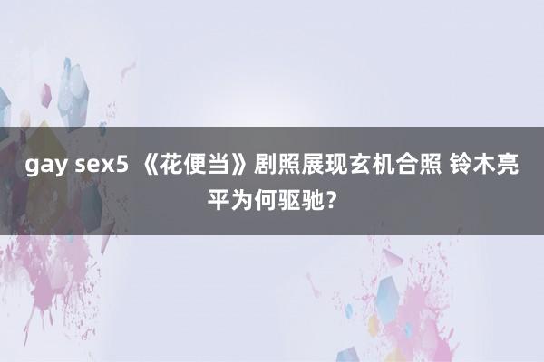 gay sex5 《花便当》剧照展现玄机合照 铃木亮平为何驱驰？