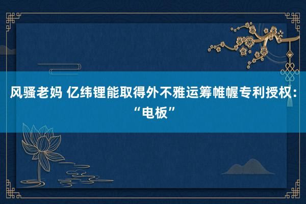 风骚老妈 亿纬锂能取得外不雅运筹帷幄专利授权：“电板”