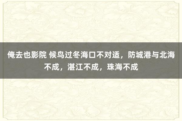 俺去也影院 候鸟过冬海口不对适，防城港与北海不成，湛江不成，珠海不成