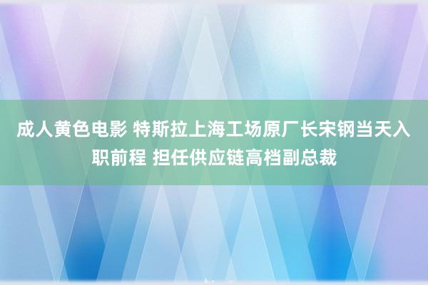 成人黄色电影 特斯拉上海工场原厂长宋钢当天入职前程 担任供应链高档副总裁