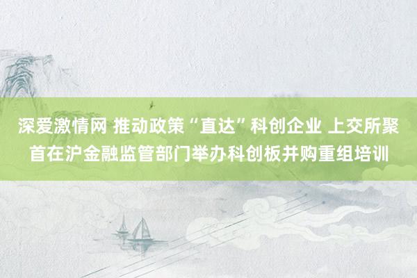 深爱激情网 推动政策“直达”科创企业 上交所聚首在沪金融监管部门举办科创板并购重组培训