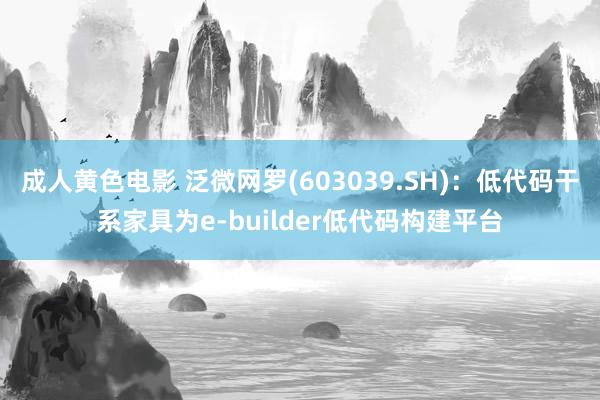 成人黄色电影 泛微网罗(603039.SH)：低代码干系家具为e-builder低代码构建平台