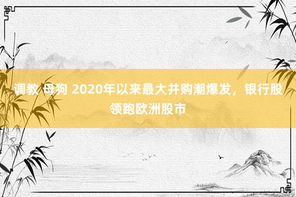 调教 母狗 2020年以来最大并购潮爆发，银行股领跑欧洲股市