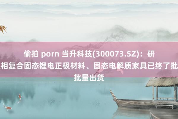 偷拍 porn 当升科技(300073.SZ)：研发的双相复合固态锂电正极材料、固态电解质家具已终了批量出货