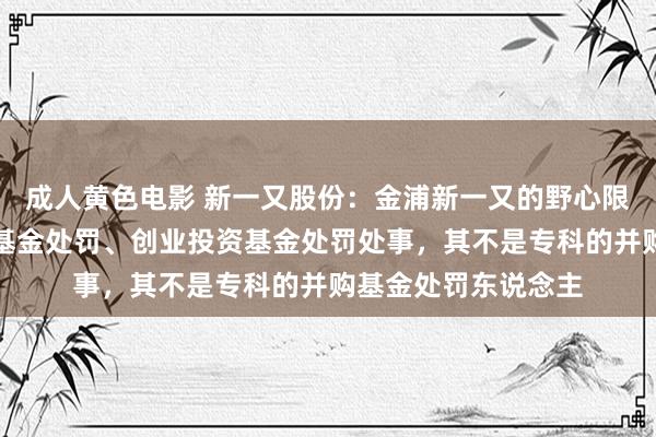 成人黄色电影 新一又股份：金浦新一又的野心限度是私募股权投资基金处罚、创业投资基金处罚处事，其不是专科的并购基金处罚东说念主