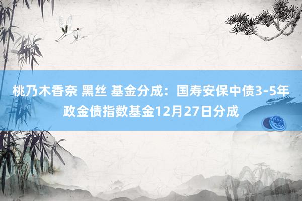 桃乃木香奈 黑丝 基金分成：国寿安保中债3-5年政金债指数基金12月27日分成