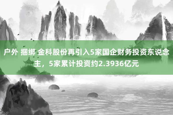 户外 捆绑 金科股份再引入5家国企财务投资东说念主，5家累计投资约2.3936亿元