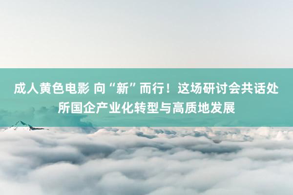 成人黄色电影 向“新”而行！这场研讨会共话处所国企产业化转型与高质地发展