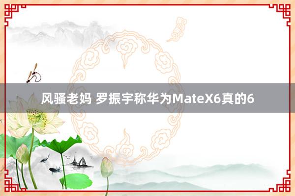 风骚老妈 罗振宇称华为MateX6真的6