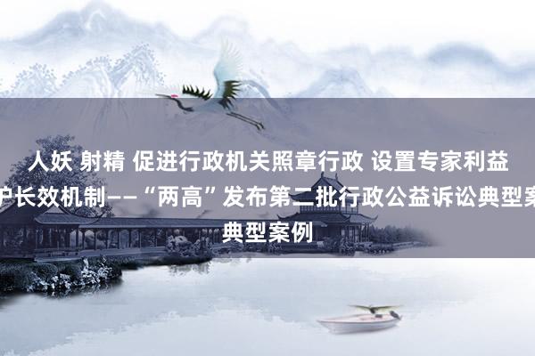 人妖 射精 促进行政机关照章行政 设置专家利益保护长效机制——“两高”发布第二批行政公益诉讼典型案例