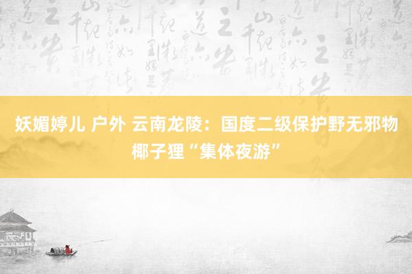 妖媚婷儿 户外 云南龙陵：国度二级保护野无邪物椰子狸“集体夜游”