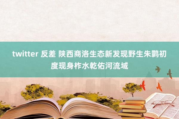 twitter 反差 陕西商洛生态新发现野生朱鹮初度现身柞水乾佑河流域