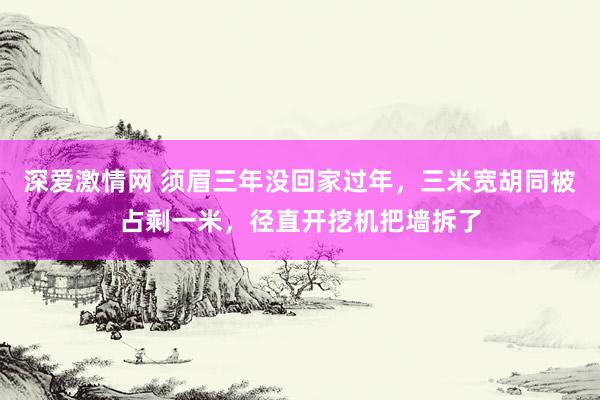 深爱激情网 须眉三年没回家过年，三米宽胡同被占剩一米，径直开挖机把墙拆了