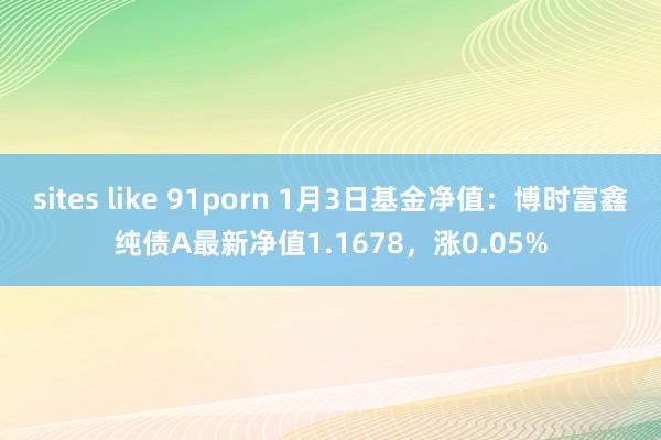 sites like 91porn 1月3日基金净值：博时富鑫纯债A最新净值1.1678，涨0.05%