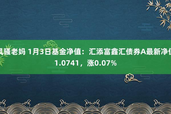 风骚老妈 1月3日基金净值：汇添富鑫汇债券A最新净值1.0741，涨0.07%