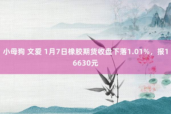 小母狗 文爱 1月7日橡胶期货收盘下落1.01%，报16630元