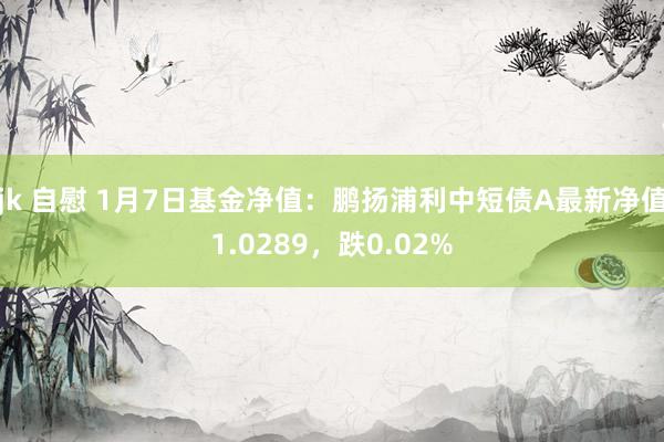 jk 自慰 1月7日基金净值：鹏扬浦利中短债A最新净值1.0289，跌0.02%