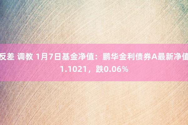 反差 调教 1月7日基金净值：鹏华金利债券A最新净值1.1021，跌0.06%