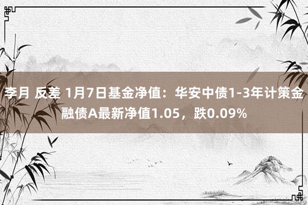 李月 反差 1月7日基金净值：华安中债1-3年计策金融债A最新净值1.05，跌0.09%