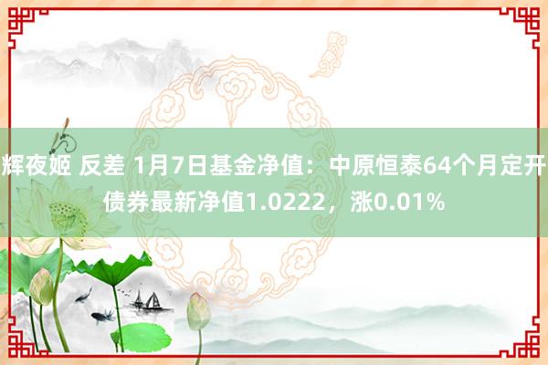 辉夜姬 反差 1月7日基金净值：中原恒泰64个月定开债券最新净值1.0222，涨0.01%