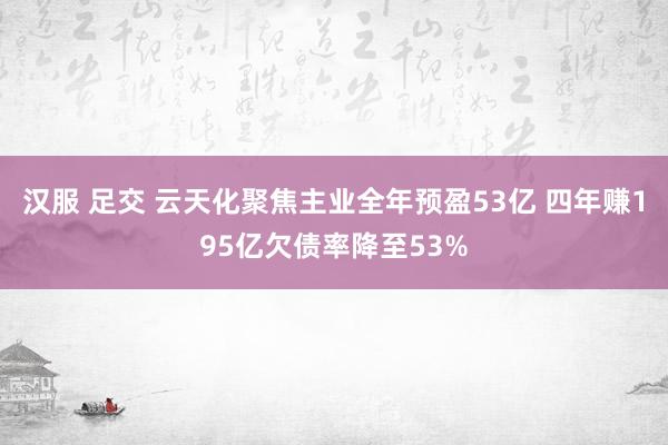 汉服 足交 云天化聚焦主业全年预盈53亿 四年赚195亿欠债率降至53%