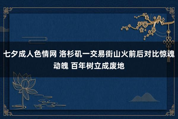 七夕成人色情网 洛杉矶一交易街山火前后对比惊魂动魄 百年树立成废地