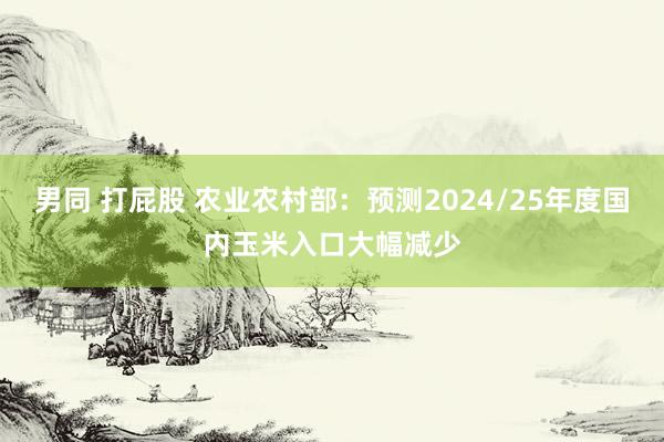 男同 打屁股 农业农村部：预测2024/25年度国内玉米入口大幅减少