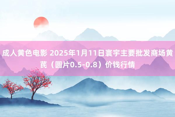 成人黄色电影 2025年1月11日寰宇主要批发商场黄芪（圆片0.5-0.8）价钱行情