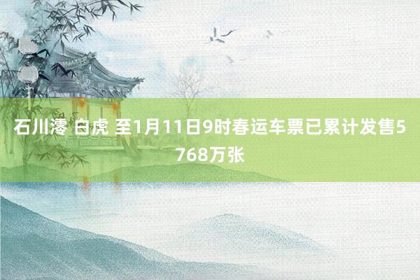 石川澪 白虎 至1月11日9时春运车票已累计发售5768万张