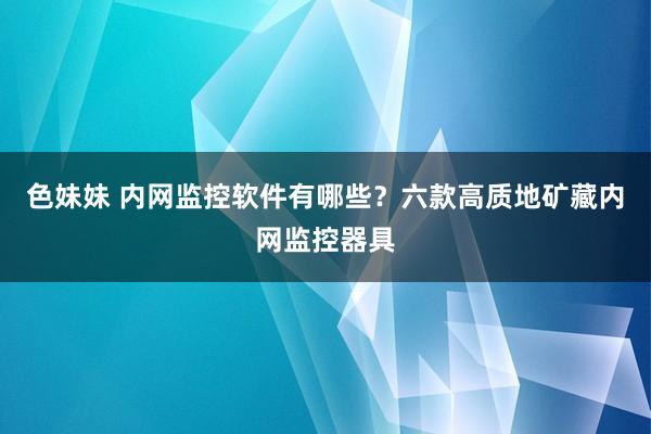 色妹妹 内网监控软件有哪些？六款高质地矿藏内网监控器具