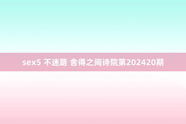 sex5 不迷路 舍得之间诗院第202420期