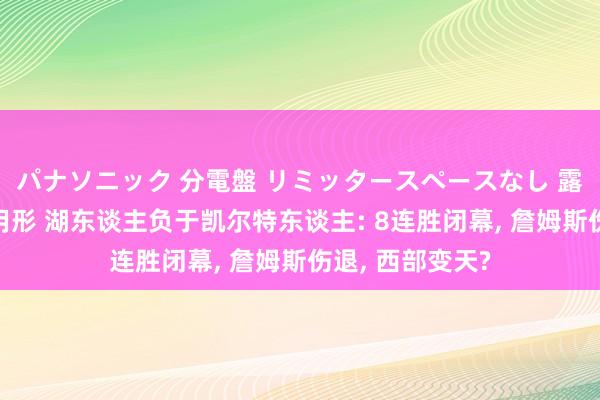 パナソニック 分電盤 リミッタースペースなし 露出・半埋込両用形 湖东谈主负于凯尔特东谈主: 8连胜闭幕， 詹姆斯伤退， 西部变天?