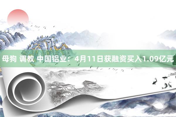 母狗 调教 中国铝业：4月11日获融资买入1.09亿元