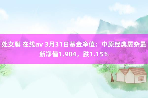 处女膜 在线av 3月31日基金净值：中原经典羼杂最新净值1.984，跌1.15%