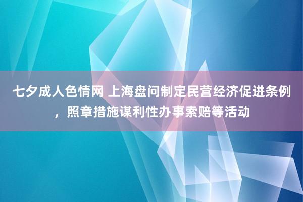 七夕成人色情网 上海盘问制定民营经济促进条例，照章措施谋利性办事索赔等活动
